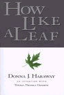How Like a Leaf: An Interview with Donna Haraway 